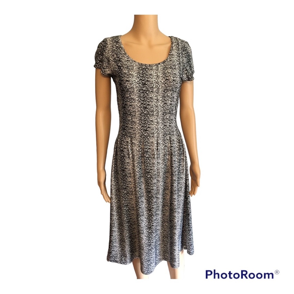 NY Collection NWOT Petite PXS fit and flare dress